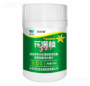 �߻��ڷ۾�-����֦-�֠���(y��u)