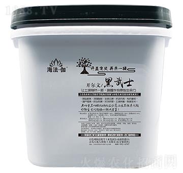 �_���ĺ���ʿ-������٤