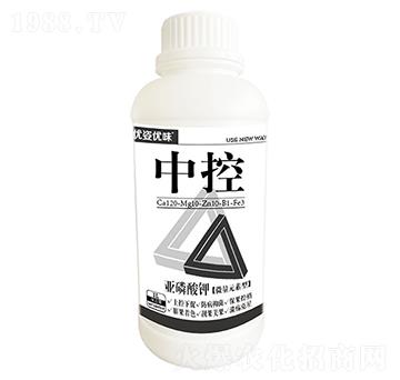 �������-�п�-��(y��u)�˃�(y��u)ζ