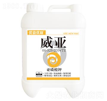 5L�������00-525-270+TE-����-��(y��u)�˃�(y��u)ζ