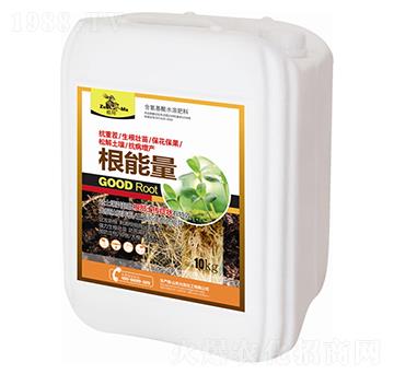 根能量-祖瑪-允發(fā)化工