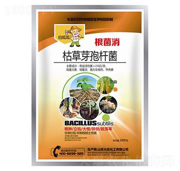 枯草芽孢桿菌-根菌效-伯呱呱-允發(fā)化工