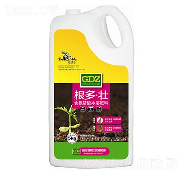 根多·壯-祖瑪-允發(fā)化工