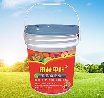 ��֦���~�����~����-�ָ���