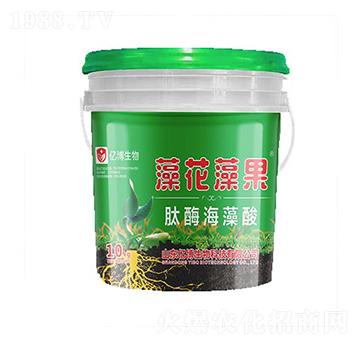 �廨�����ø������-�|������