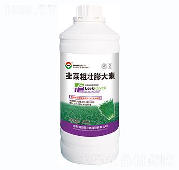 韭菜粗壯膨大素-施佰高