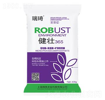 ����365-����-�����r�I(y��)