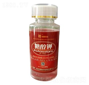 �Ǵ��-��(chu��ng)��