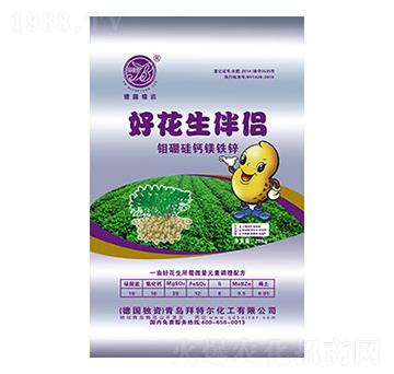 好花生伴侶-拜特爾