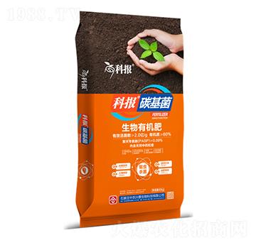 �����ЙC(j��)��-�ƈ�(b��o)̼����-���r(n��ng)�d̩