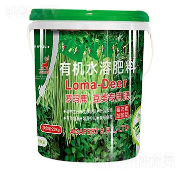 �_��¹����÷�-���L