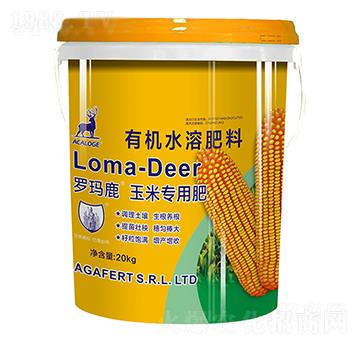 �_��¹���׌��÷�-���L