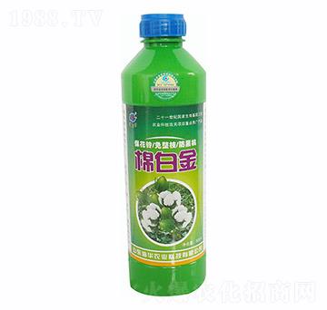 �ް׽�500ml-���A�r(n��ng)�I(y��)