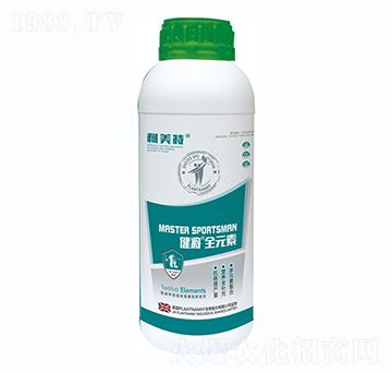 ������ȫԪ��-������