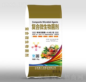 �ͺ�΢�������-ِ�˷�