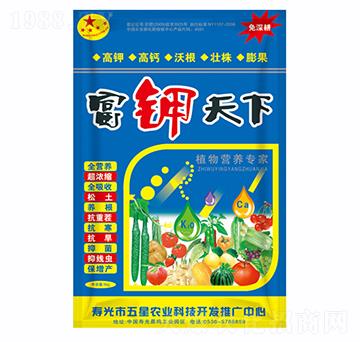 �������-�t������