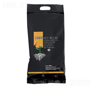 �Ŷ���������-����Ц-��(y��ng)������