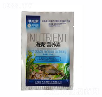 �����I(y��ng)�B(y��ng)��-��������