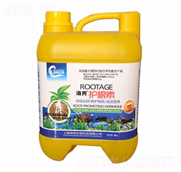 �����o(h��)����-��������