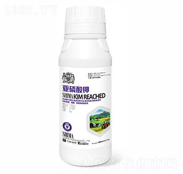 �������-�{�R�ʘI(y��)