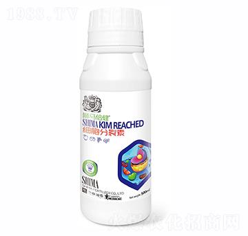 ��(x��)��������500ml-�{�R�ʘI(y��)