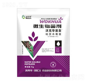 微生物菌劑（哈茨木霉菌）-沃克華苗圣-沃克華