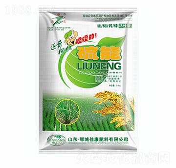 ���ܷ����辷�-�ѿ�