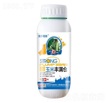 �����S�M�}-Ӣ�A����-��˴ֲ��