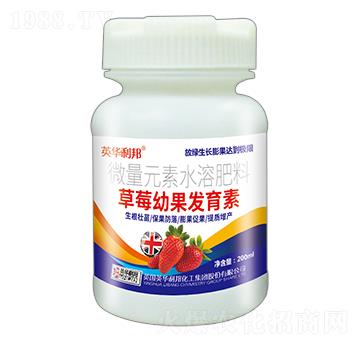 ��ݮ�׹��l(f��)����-Ӣ�A����-��˴ֲ��