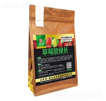 ��ݮ�žG�L-��˴���r(n��ng)�S-��˴ֲ��