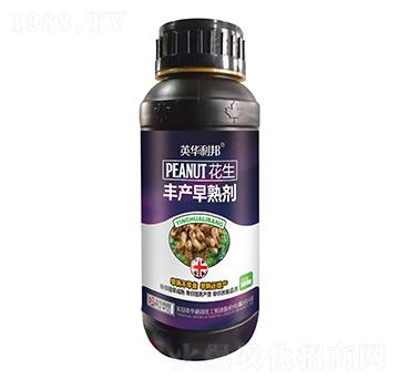 �����S�a(ch��n)���섩-��˴ֲ��