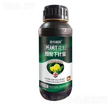 �����ڷ���ᘌ�-��˴ֲ��