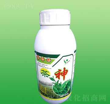 �����~���-ʩ����