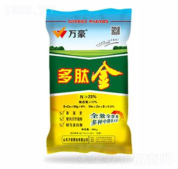 23%���Ľ�-�f(w��n)��