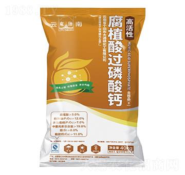 高活性腐植酸過(guò)磷酸鈣-大通磷化工