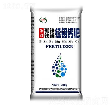 ���\�F�V�i�f�}��-���r(n��ng)����