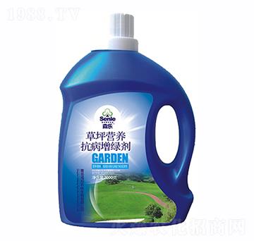 ��ƺ�I�B(y��ng)�������G��-ɭ��-�����r(n��ng)��