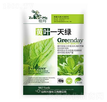 黃葉一天綠（袋）-祖瑪-允發(fā)化工