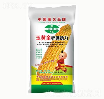 ���S���\������-����