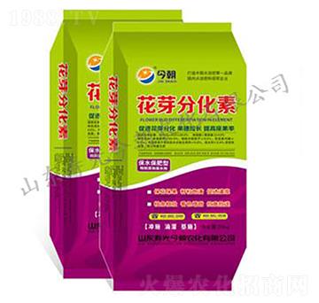 花芽分化素-今朝農(nóng)化