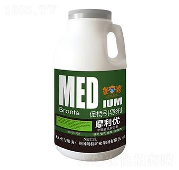 ��������(d��o)��-Ӣ����