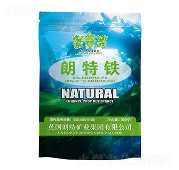 �����F-Ӣ����