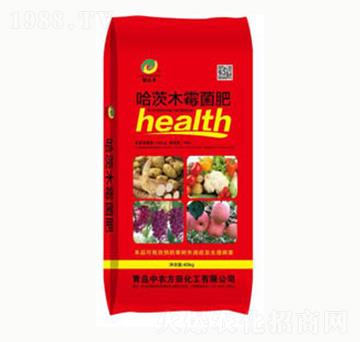 ����ľø����-(li��n)�_�S-���r����