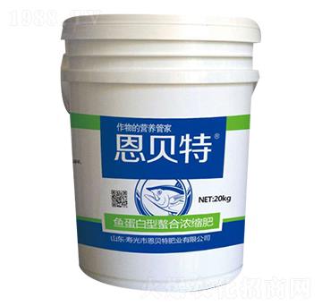 �~���������ϝ�s��-��ؐ��