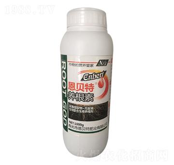 1000g�B(y��ng)����-��ؐ��