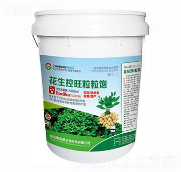 �������������-ʩ�۸�