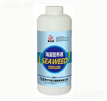 ����I(y��ng)�B(y��ng)Һ-ʢïԴ