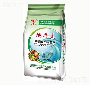 ��ţ��̼��΢�������-��ţ