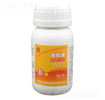 �Ǵ���-���_����