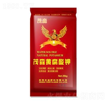 ïɭ�S�����-�̵�